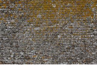 wall bricks overgrown moss 0004